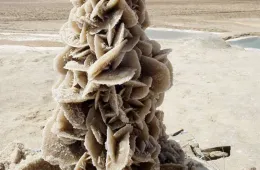 Screenshot 2025 06 12 At 8.56.09 Pm